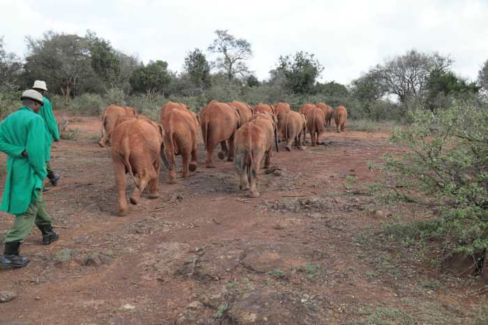 IE0A3784 - GALLERY.jpg